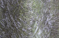 Shawlands fibreglass roof work